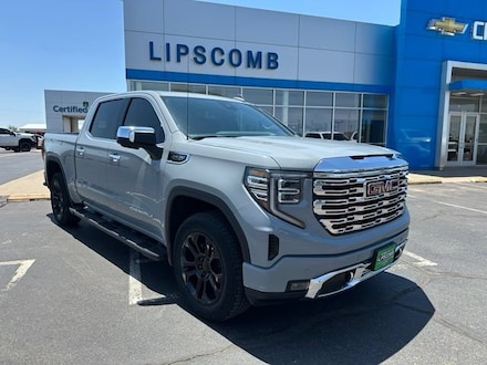 2025 GMC Sierra 1500 Denali Truck