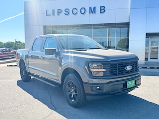 2025 Ford F-150 STX Truck