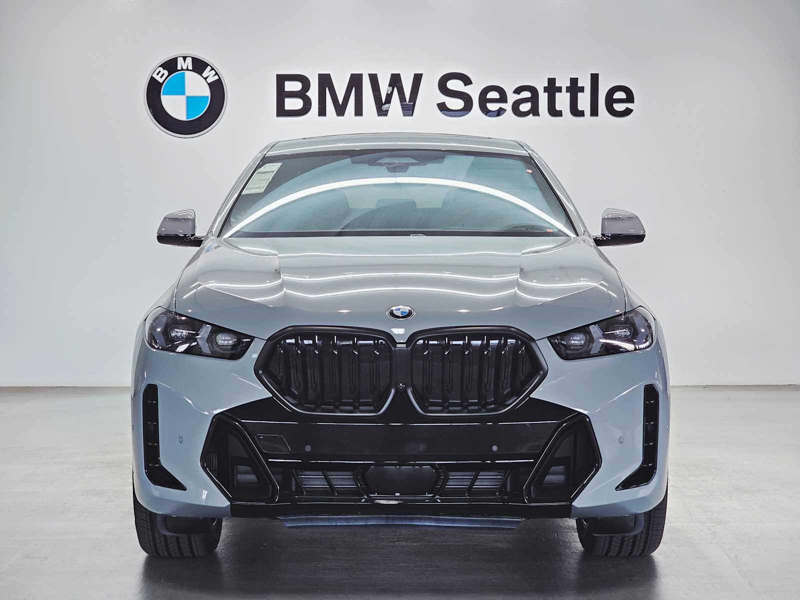 Thumbnail: 2026 BMW X6 - 6