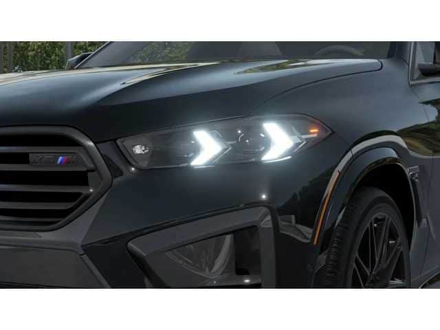 Thumbnail: 2027 BMW X6 - 6