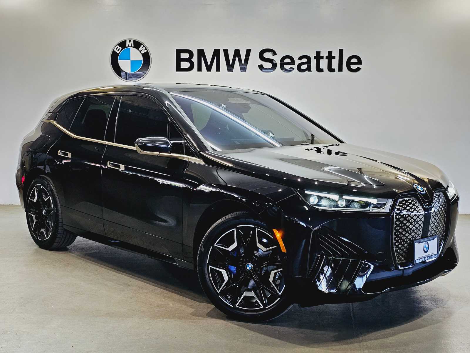 Thumbnail: 2024 BMW iX - 4