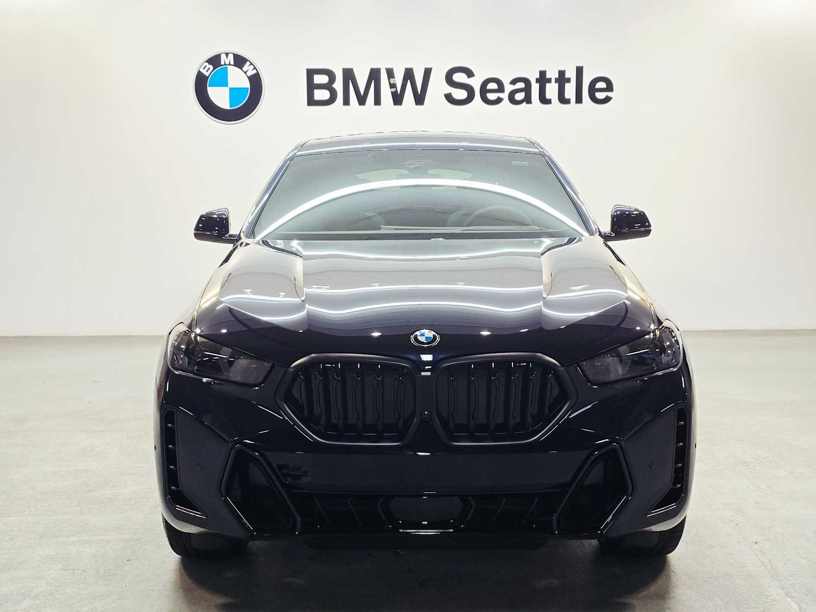 Thumbnail: 2026 BMW X6 - 6