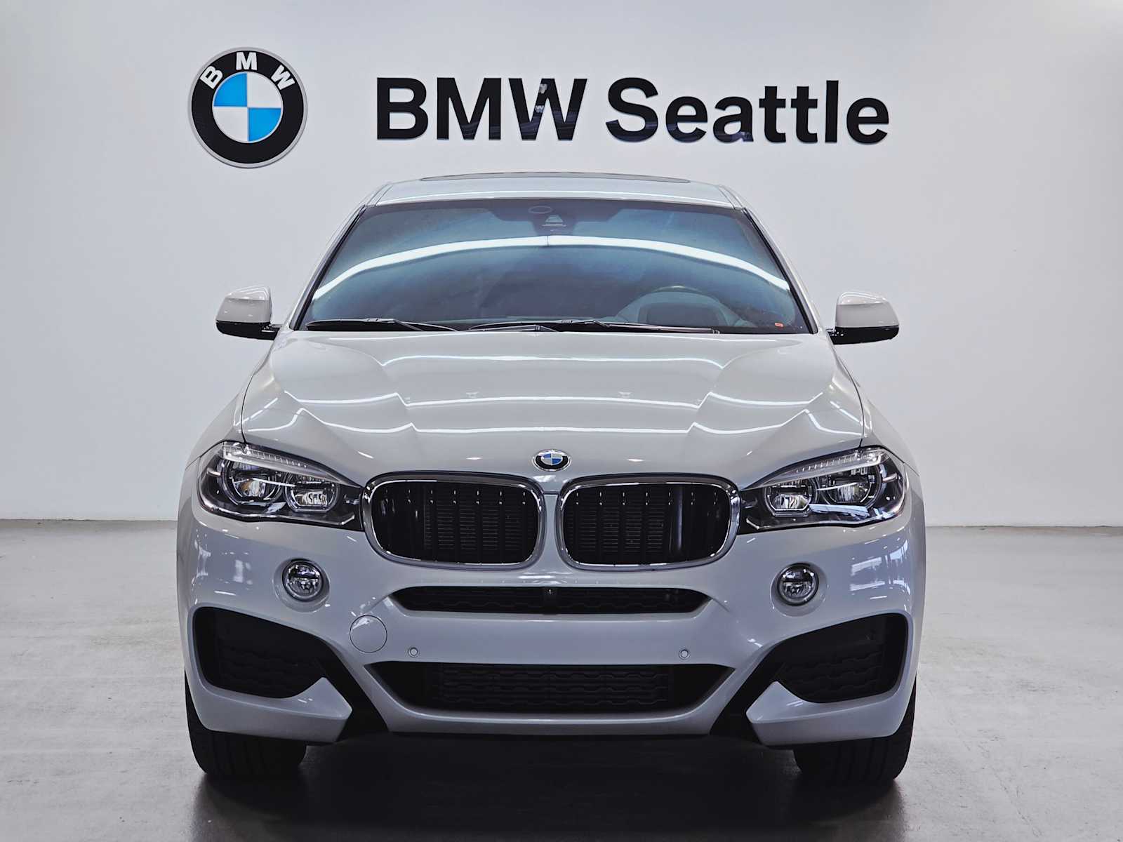 Thumbnail: 2019 BMW X6 - 6