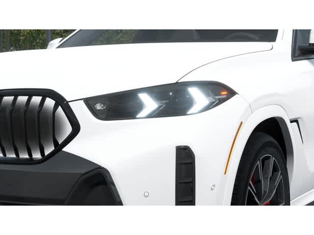 Thumbnail: 2026 BMW X6 - 6