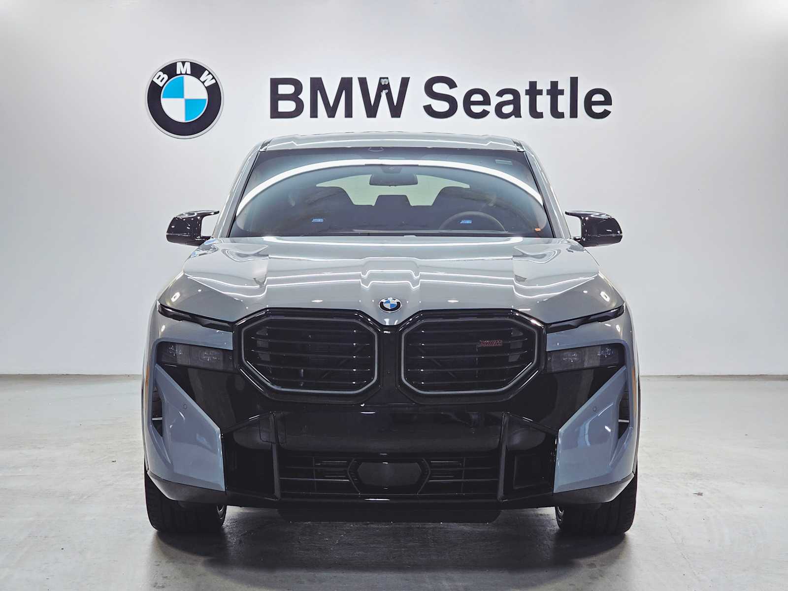 Thumbnail: 2026 BMW XM - 6