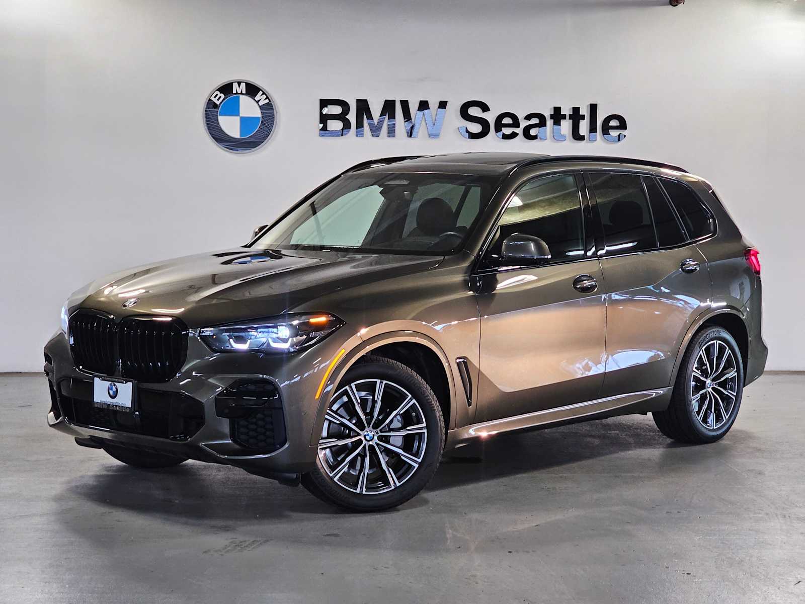 Thumbnail: 2023 BMW X5 - 1