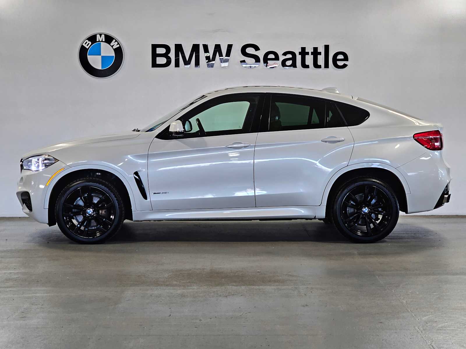 Thumbnail: 2019 BMW X6 - 3