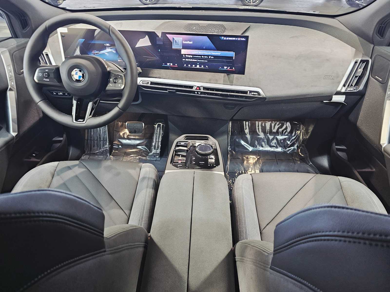 Thumbnail: 2026 BMW iX - 10