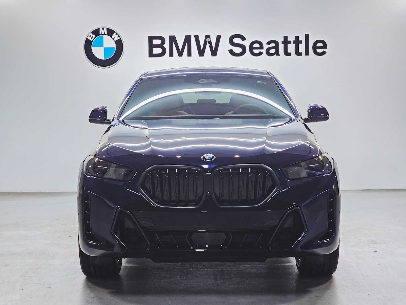 Thumbnail: 2026 BMW X6 - 6