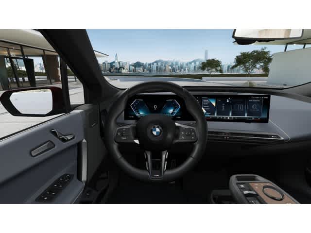 2026 BMW iX  13