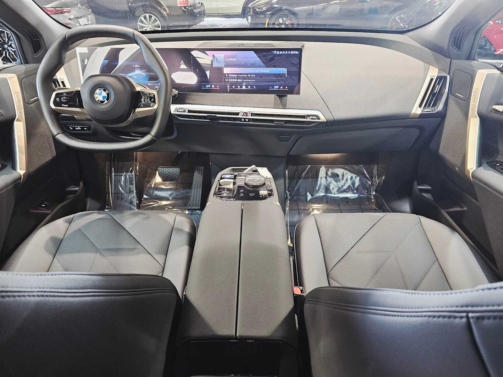 Thumbnail: 2026 BMW iX - 10