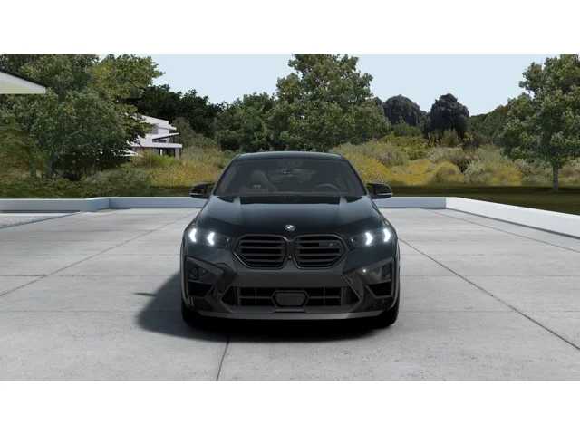 Thumbnail: 2027 BMW X6 - 3