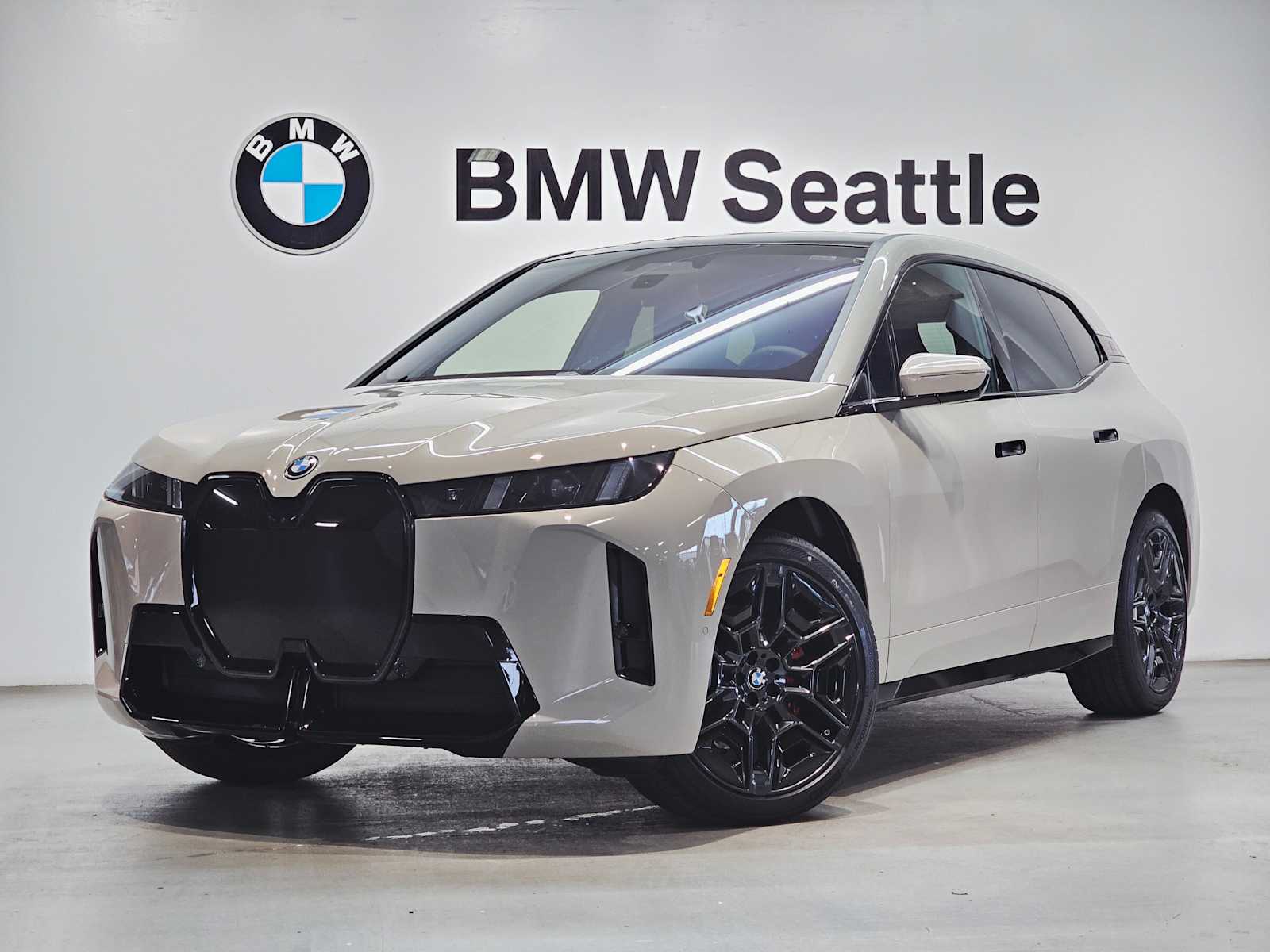 Thumbnail: 2026 BMW iX - 1