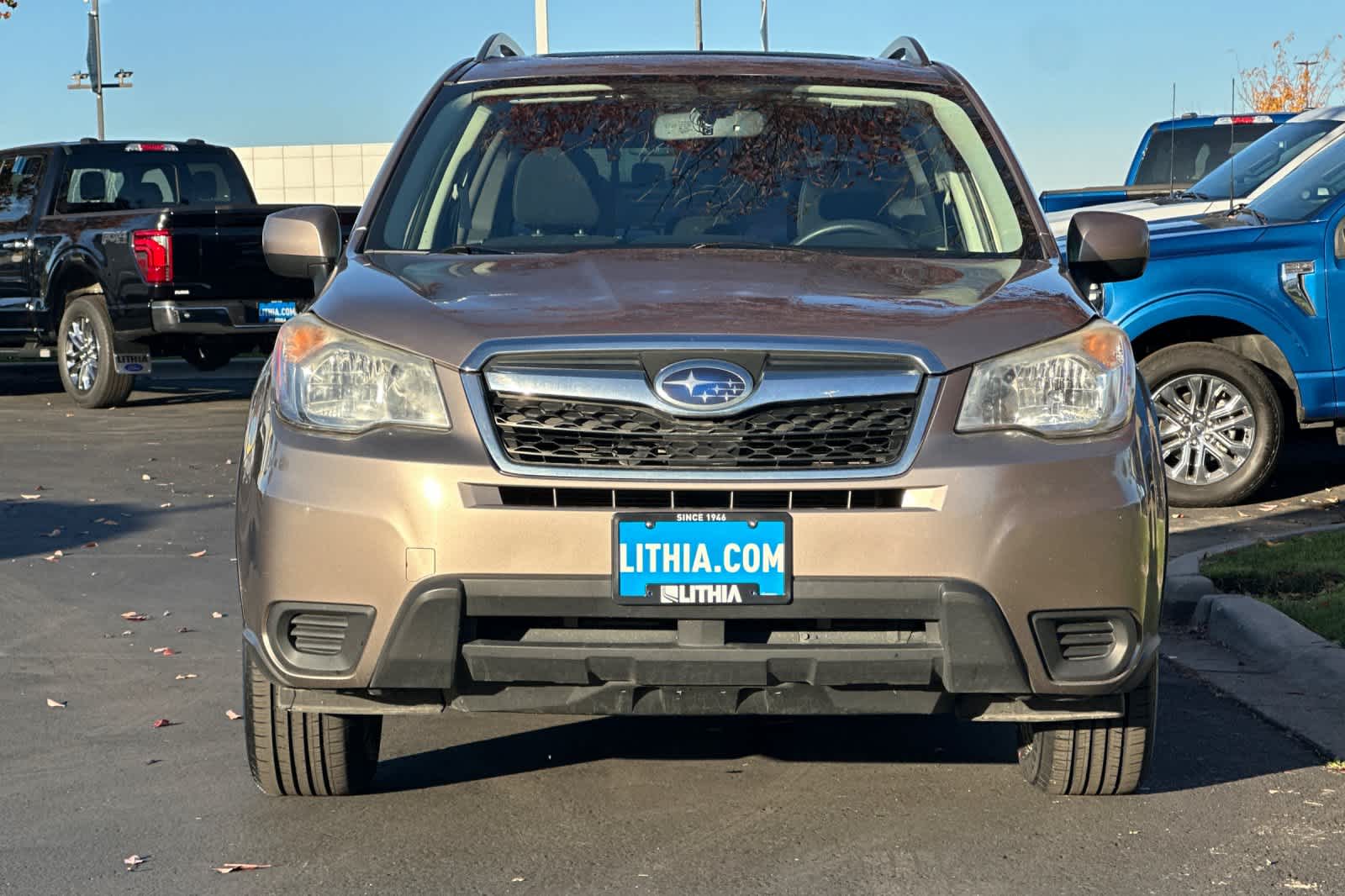 Thumbnail: 2014 Subaru Forester - 10
