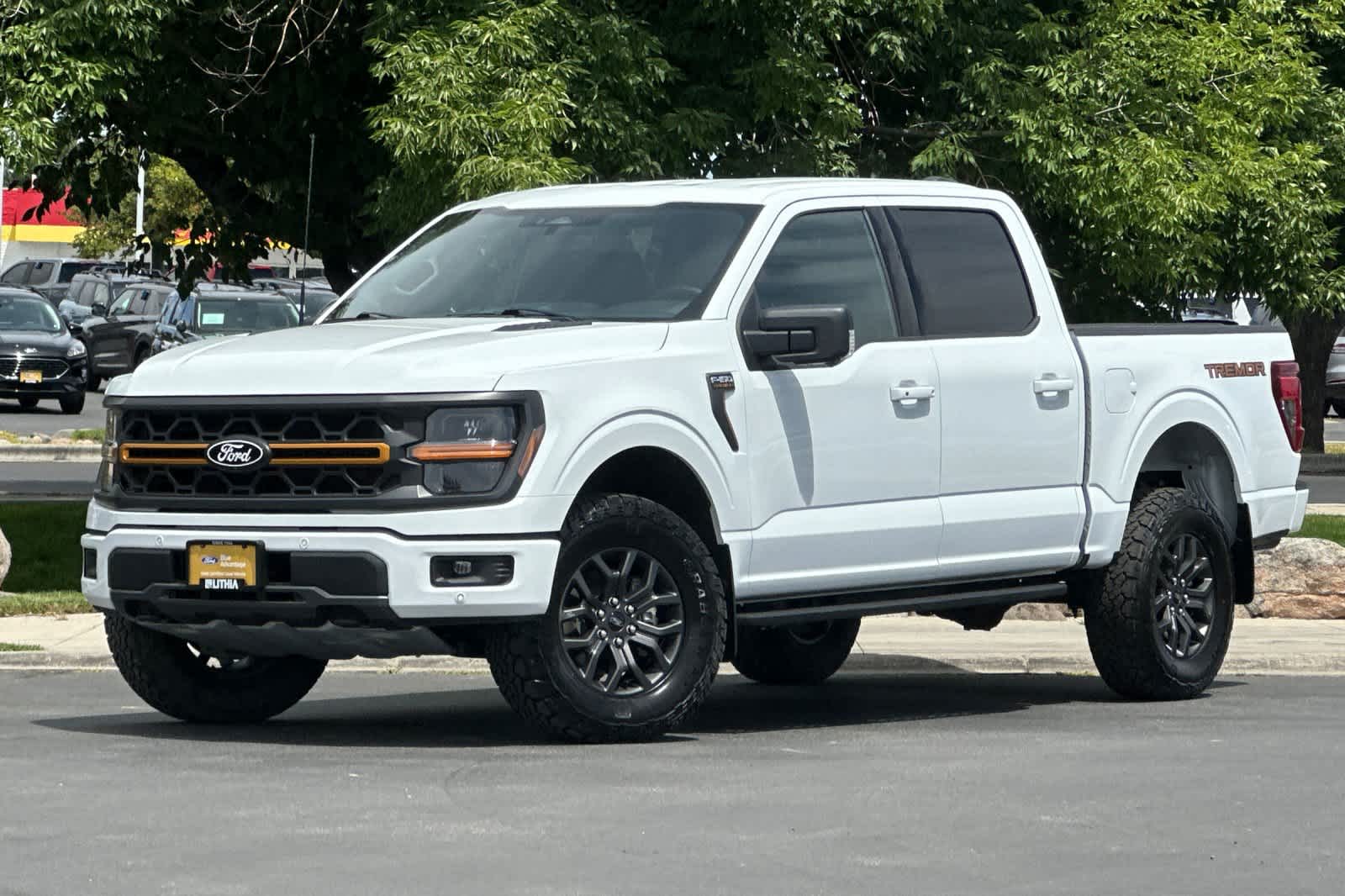 2025 Ford F-150 Tremor 4x4 SuperCrew 145 in's photo