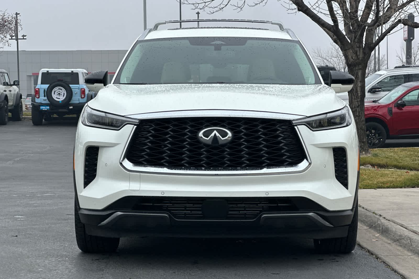 Thumbnail: 2025 INFINITI QX60 - 10