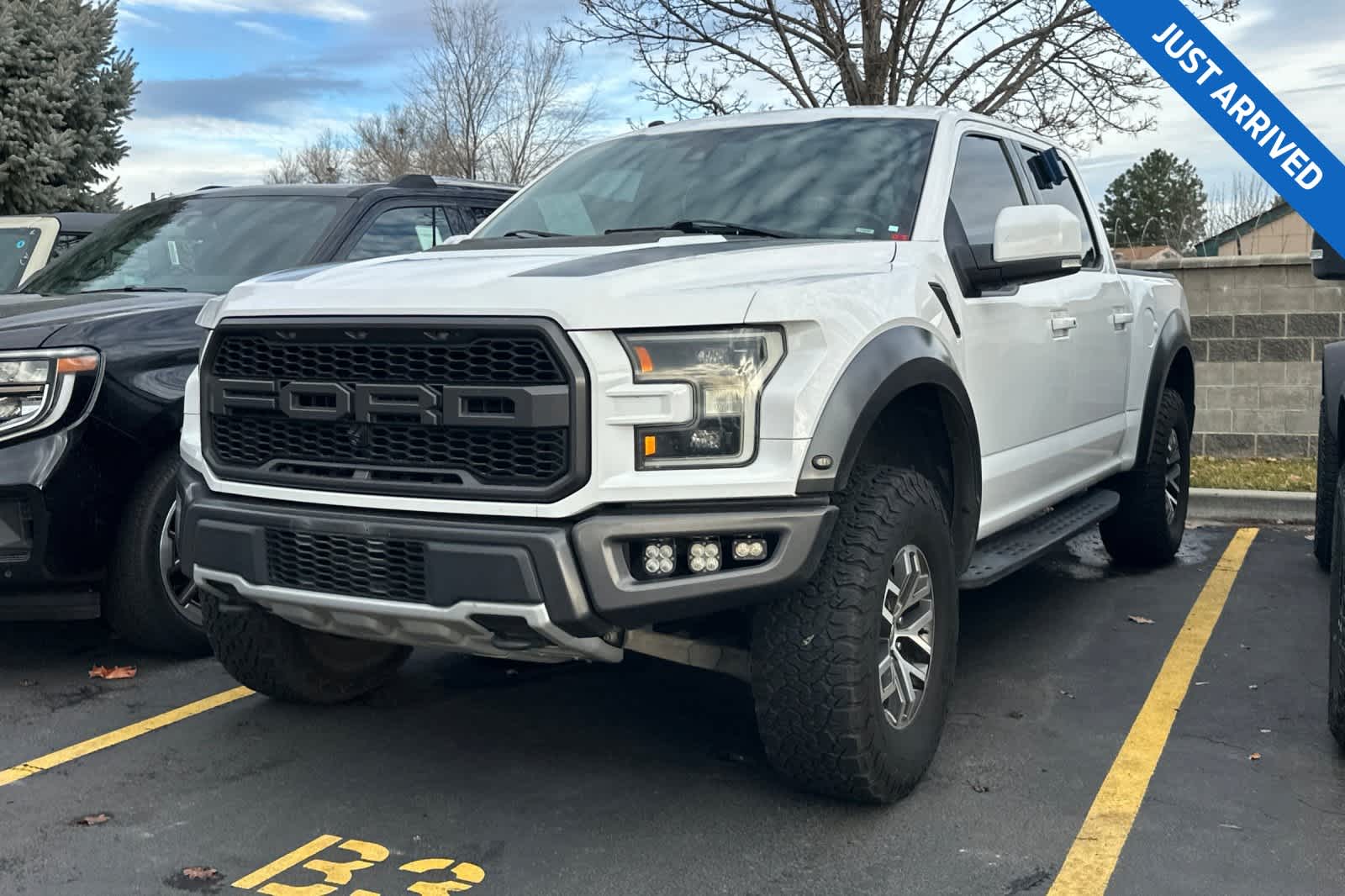 2017 Ford F-150 Raptor's photo