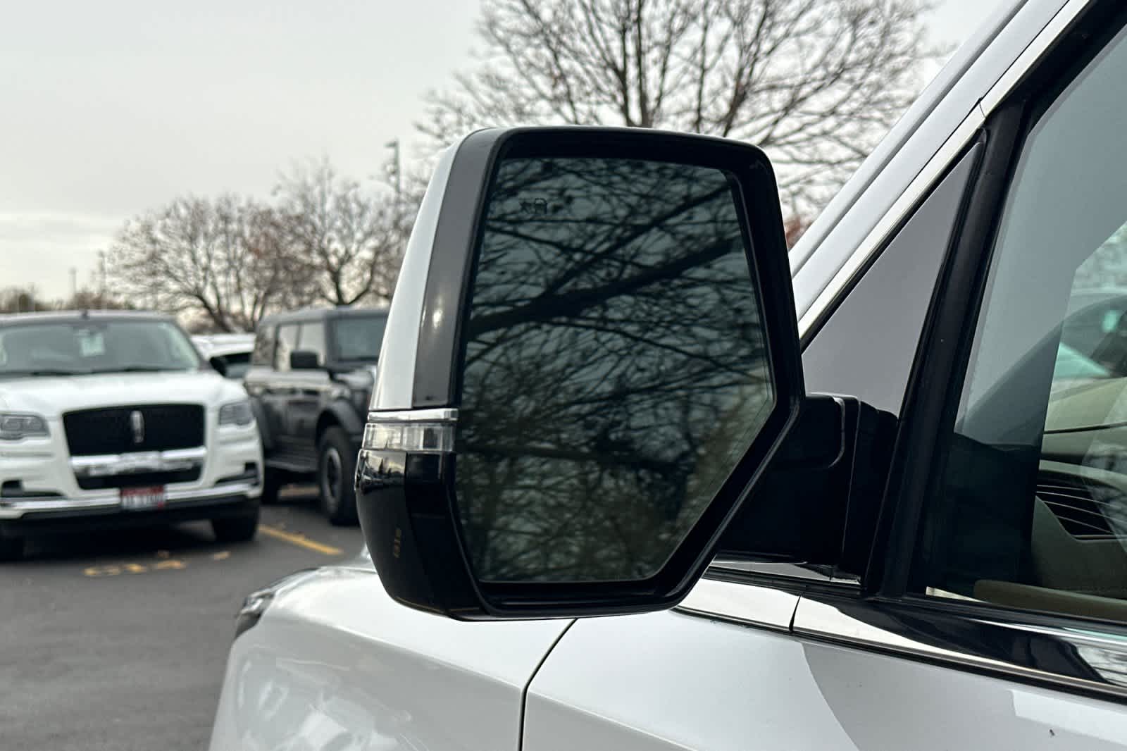 Thumbnail: 2017 Cadillac Escalade - 10