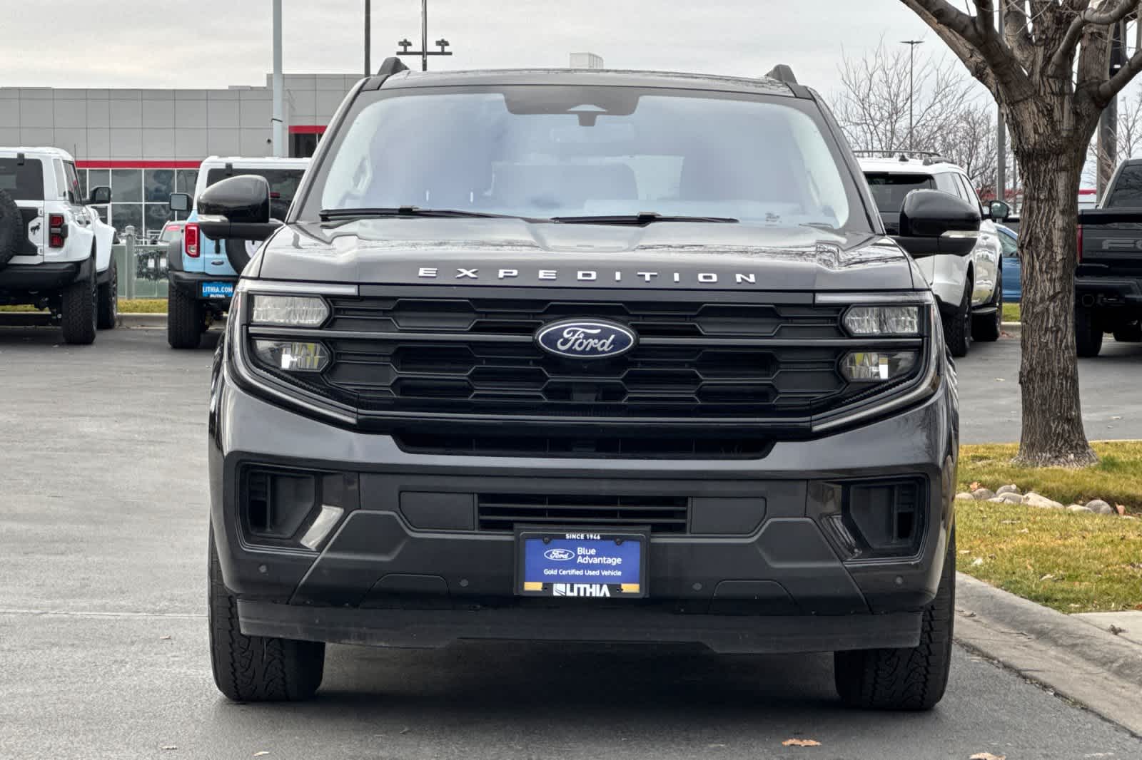 Thumbnail: 2025 Ford Expedition - 10