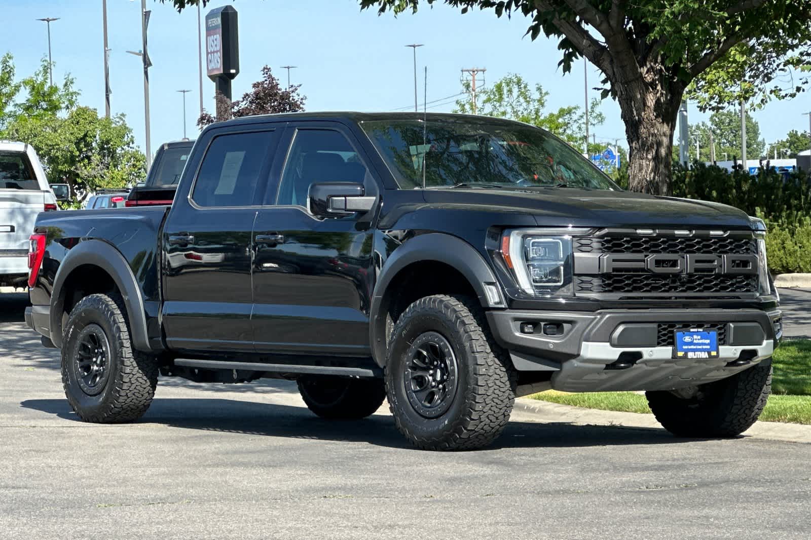 2021 Ford F-150 Raptor 9