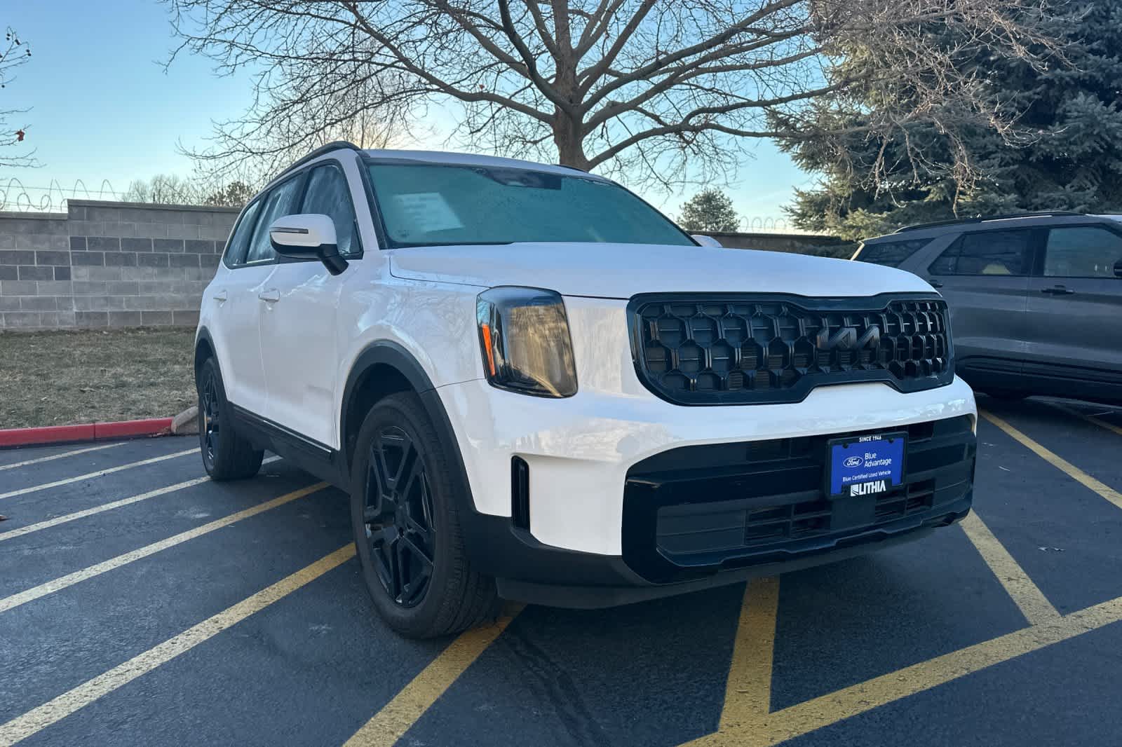 Thumbnail: 2025 Kia Telluride - 5