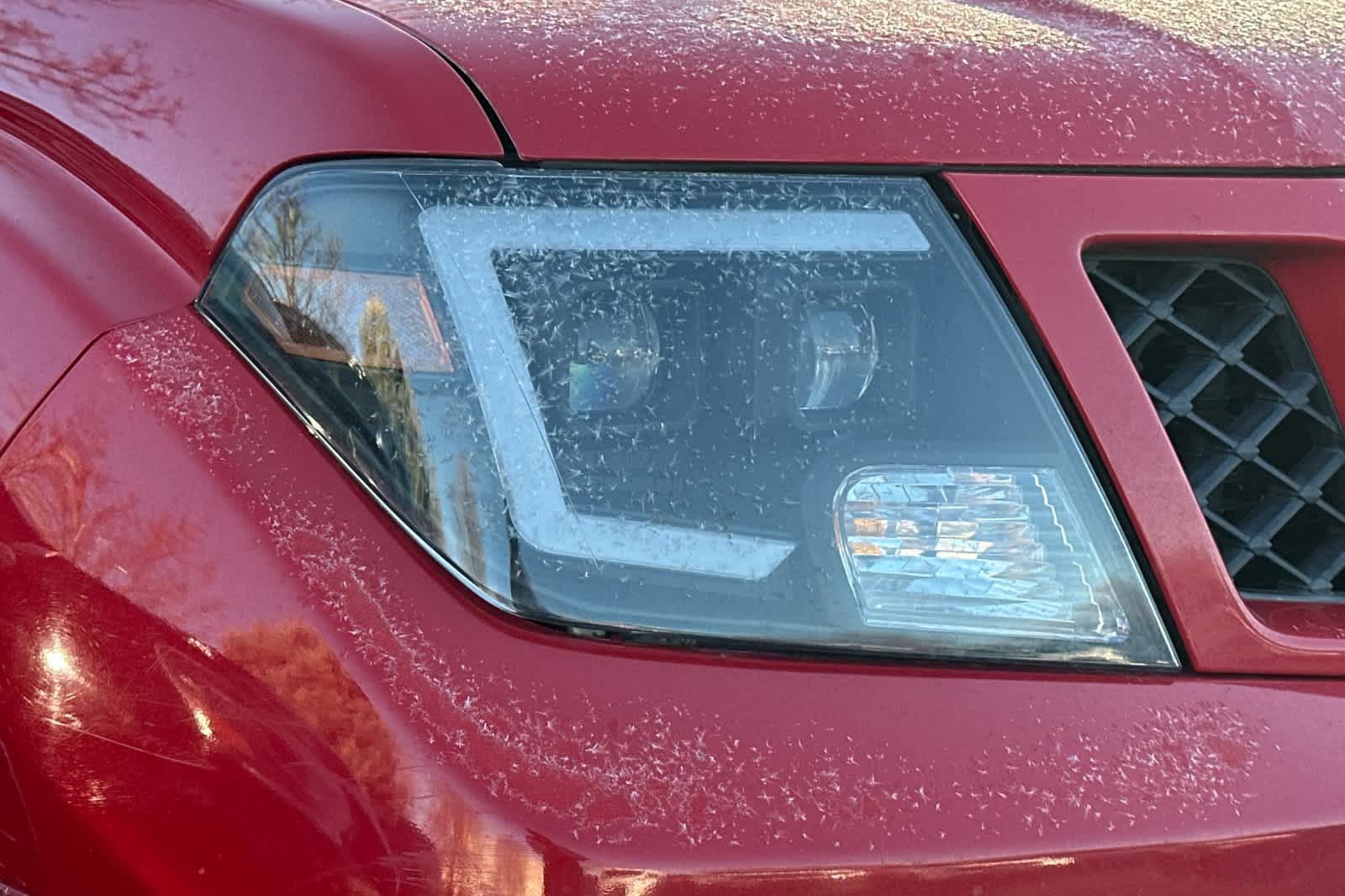 Thumbnail: 2011 Nissan Frontier - 11