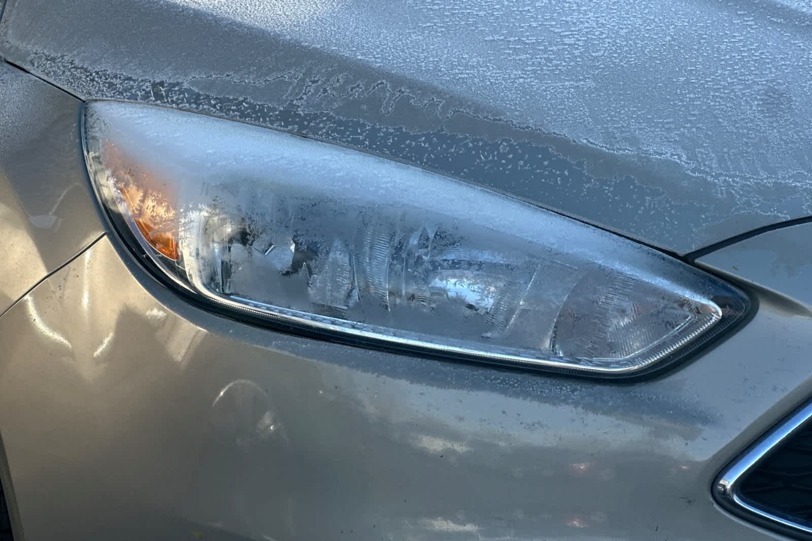 Thumbnail: 2015 Ford Focus - 11