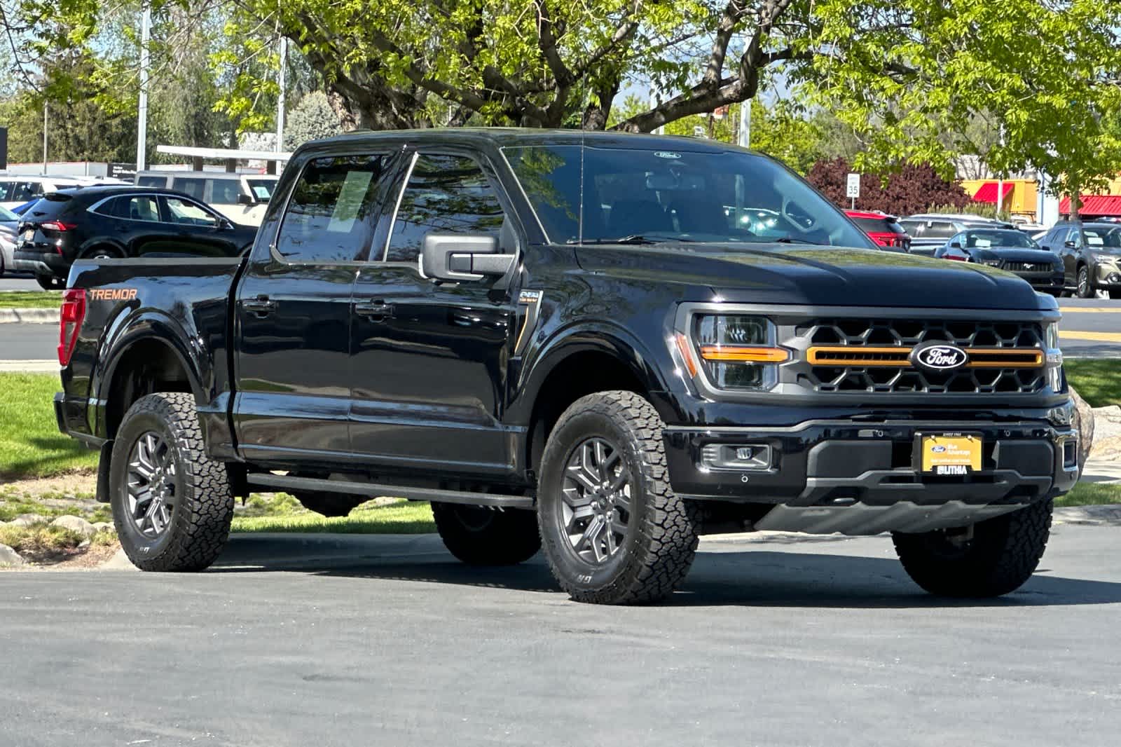 Thumbnail: 2025 Ford F-150 - 9