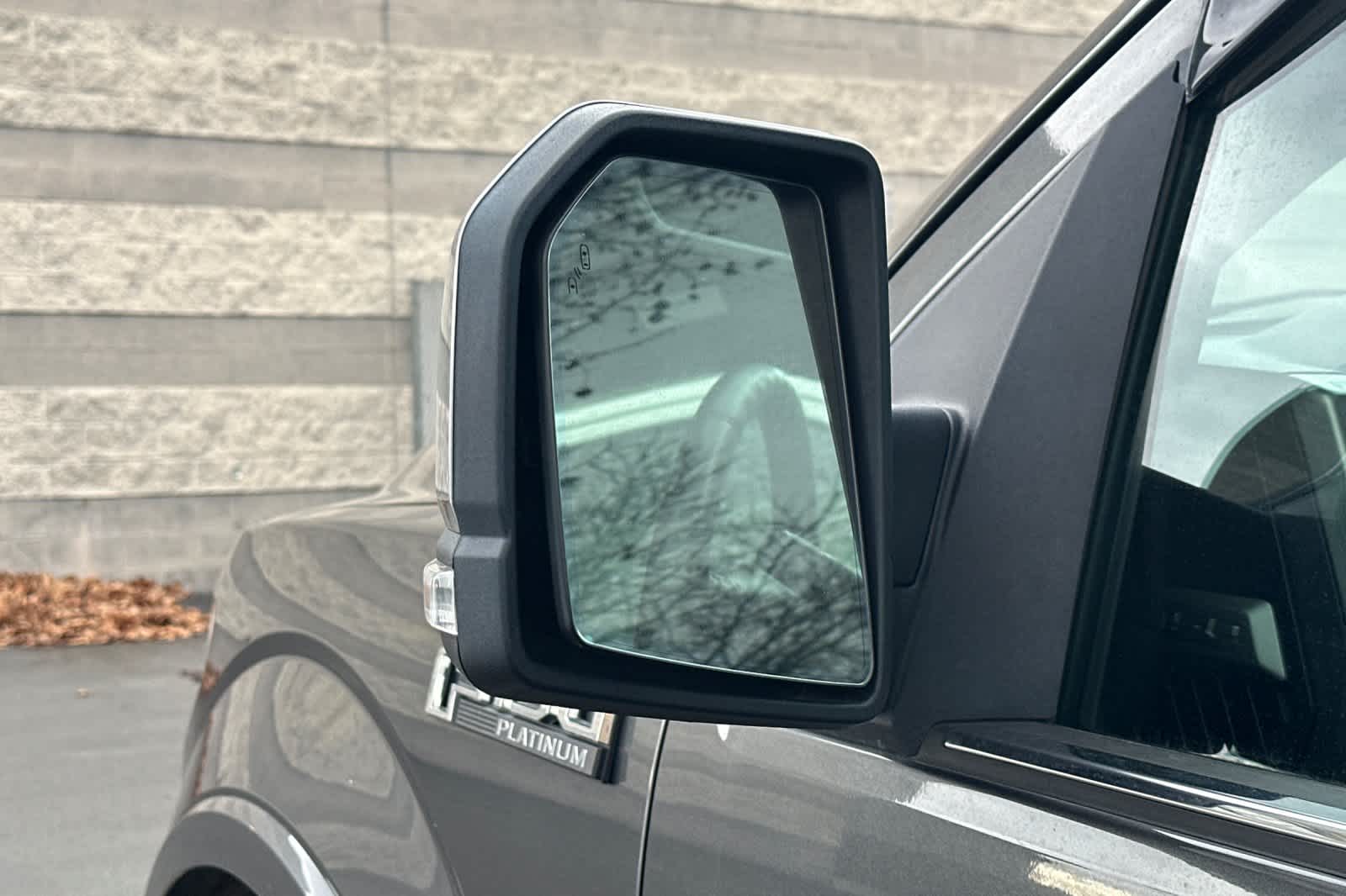 Thumbnail: 2015 Ford F-150 - 10