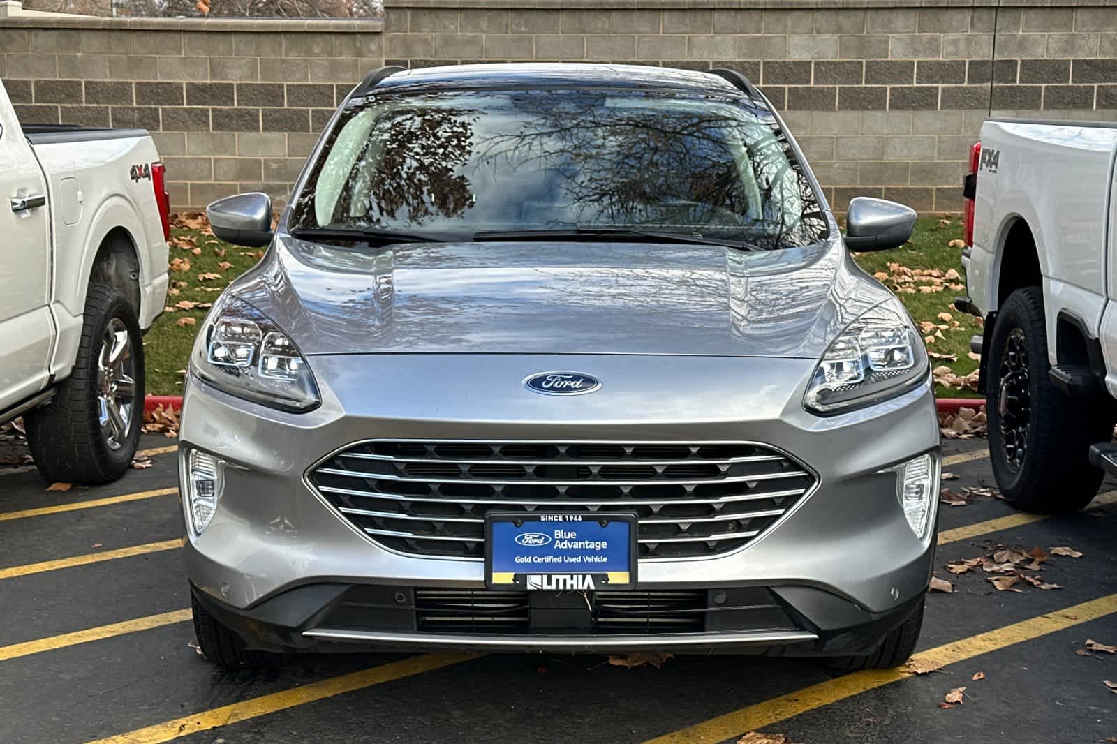 Thumbnail: 2022 Ford Escape - 5