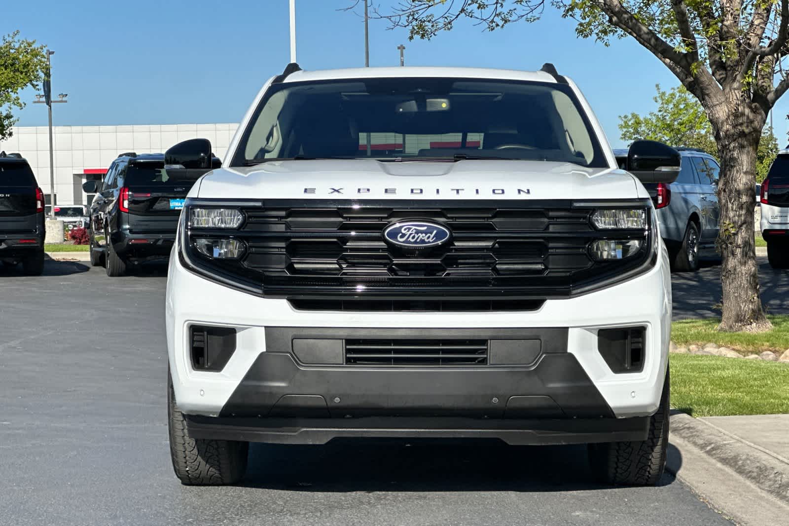 Thumbnail: 2025 Ford Expedition - 10