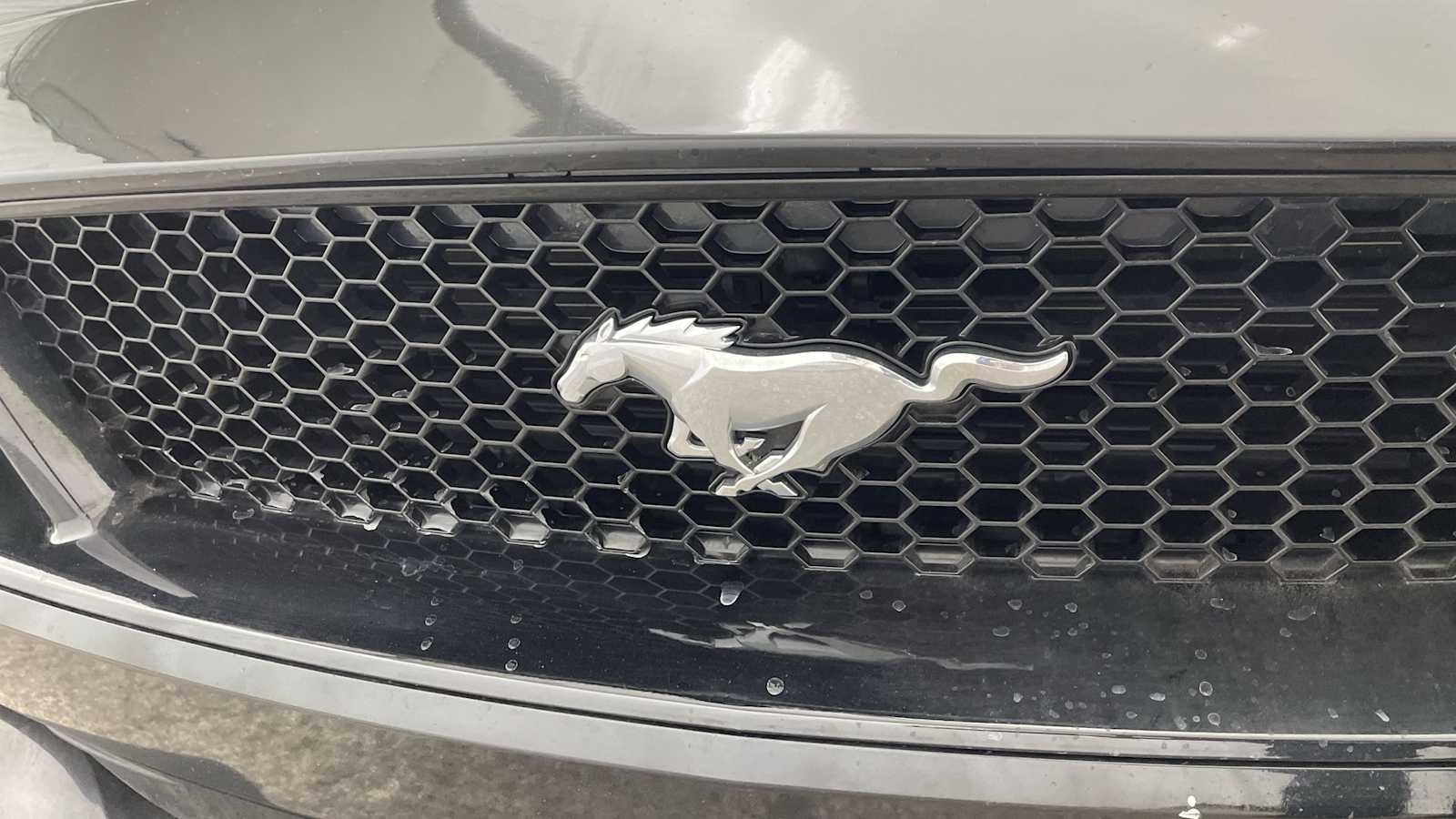 Thumbnail: 2018 Ford Mustang - 33