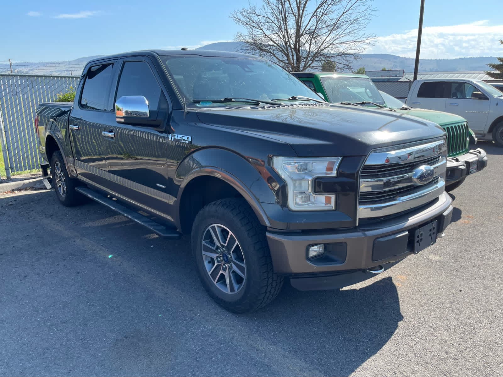 2015 Ford F-150  3