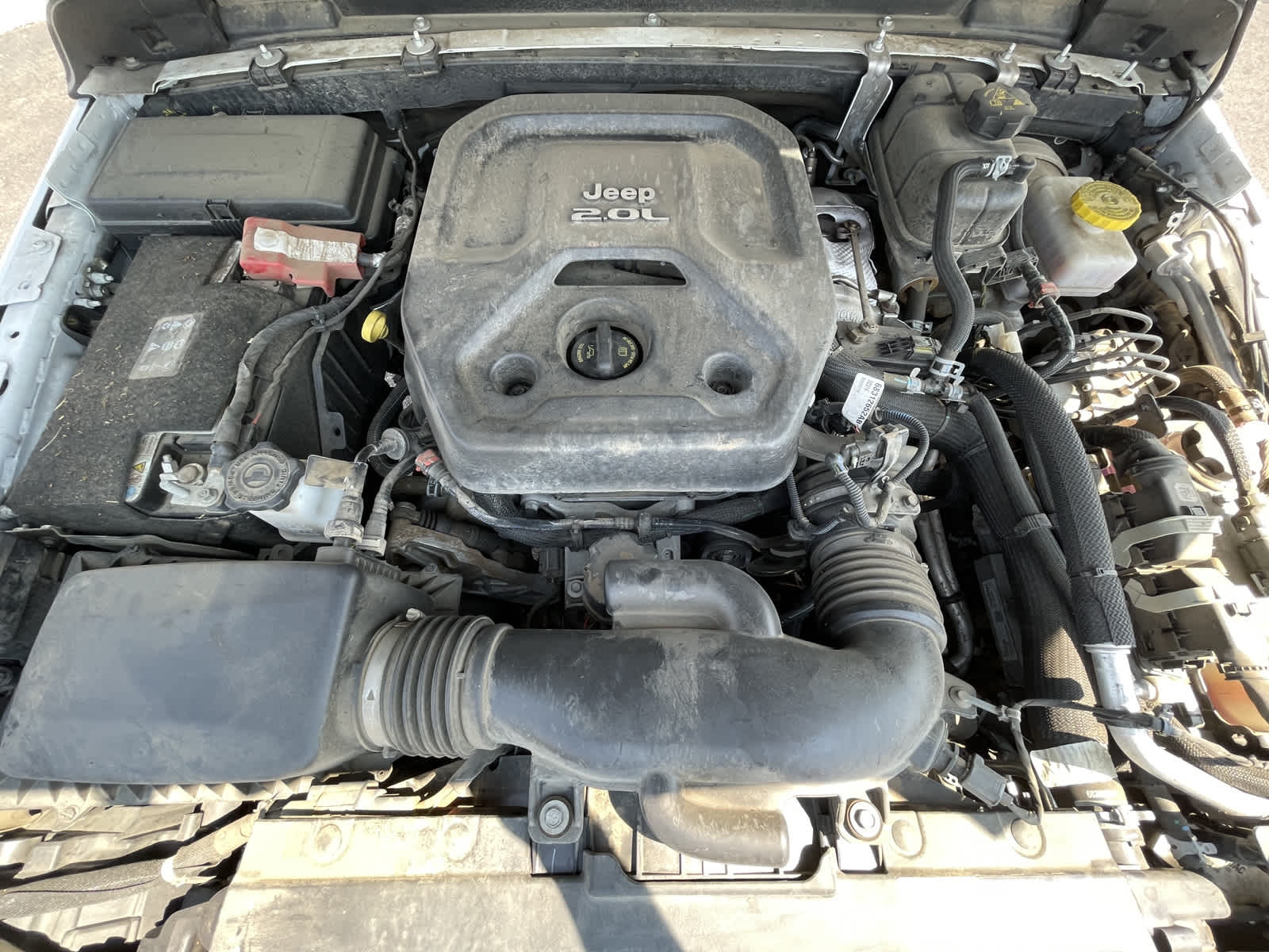 Thumbnail: 2019 Jeep Wrangler - 6