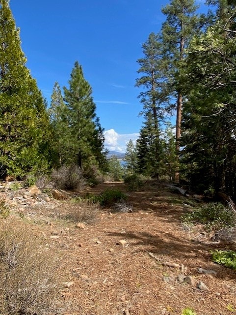 thumbnail_image001.jpg