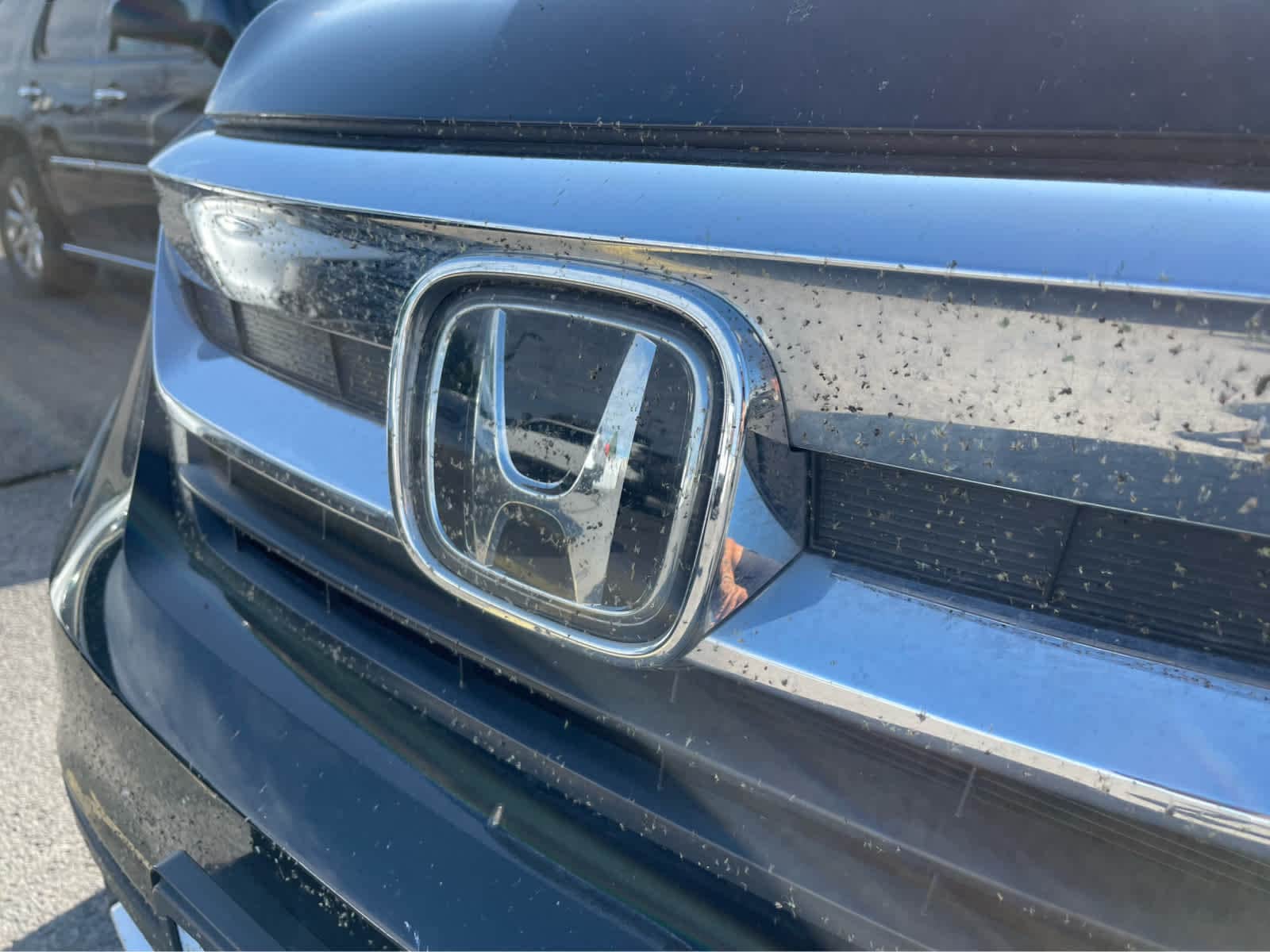2022 Honda Pilot EX-L 7