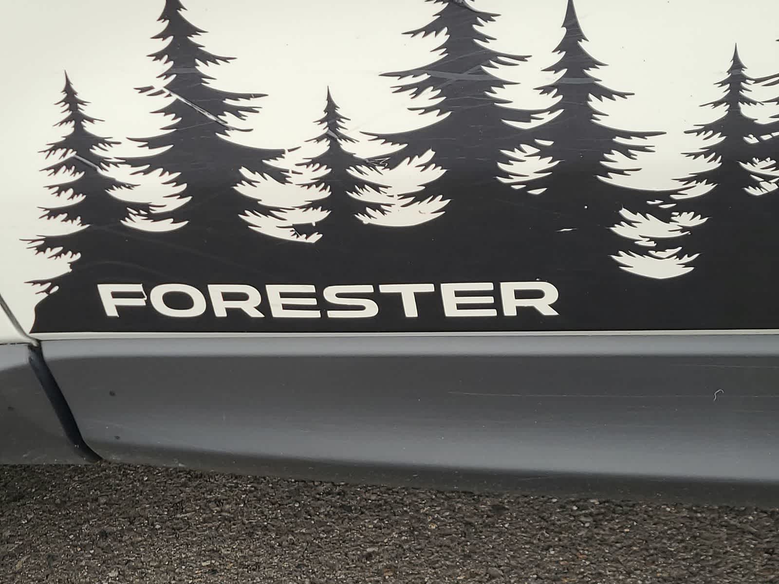 Thumbnail: 2017 Subaru Forester - 15