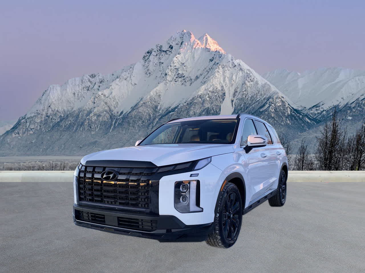 2024 Hyundai Palisade XRT's photo