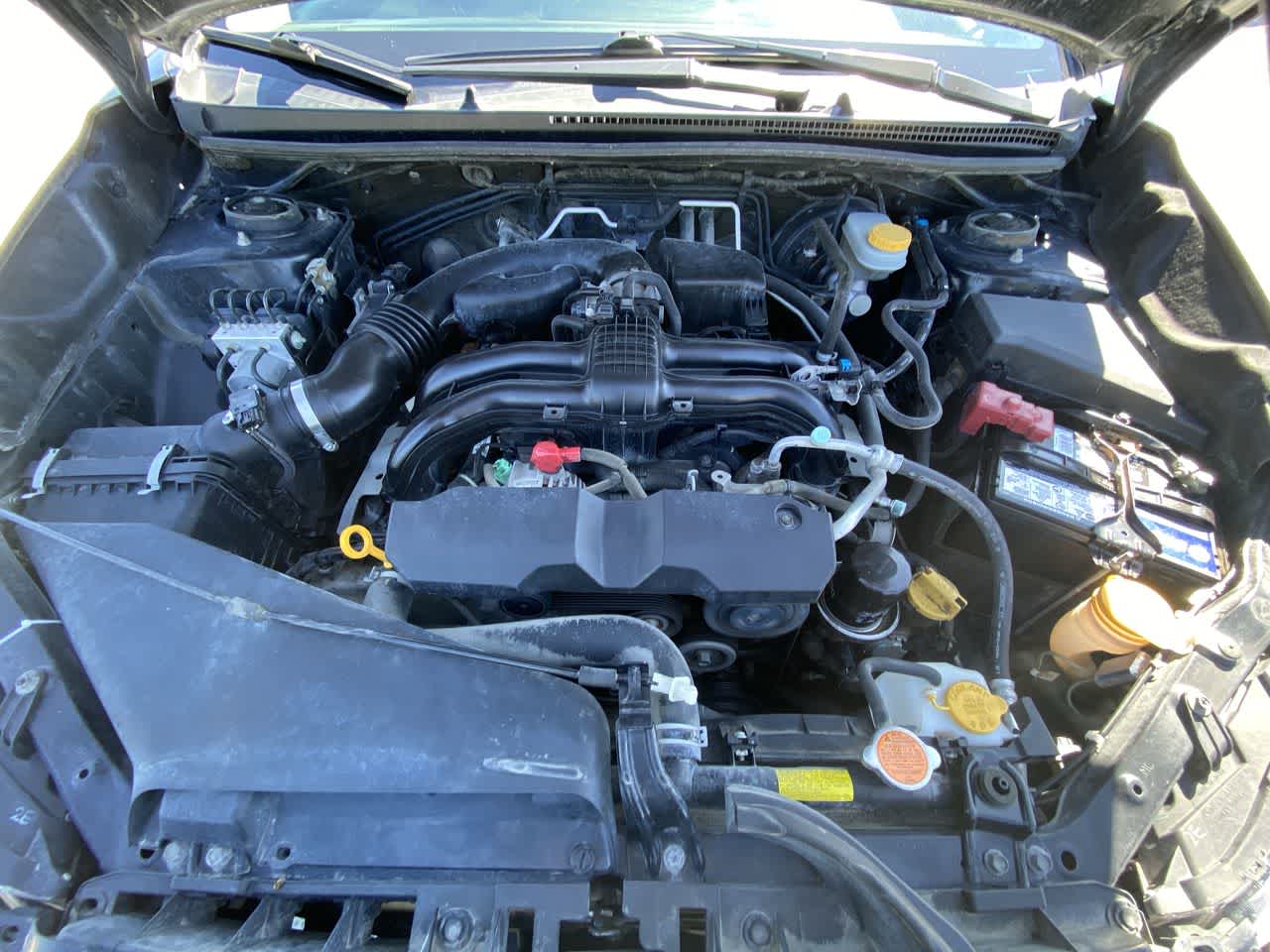 Photo 25