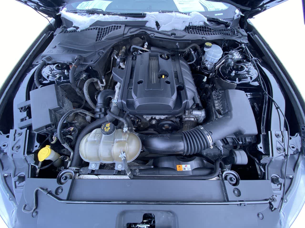 Thumbnail: 2015 Ford Mustang - 26