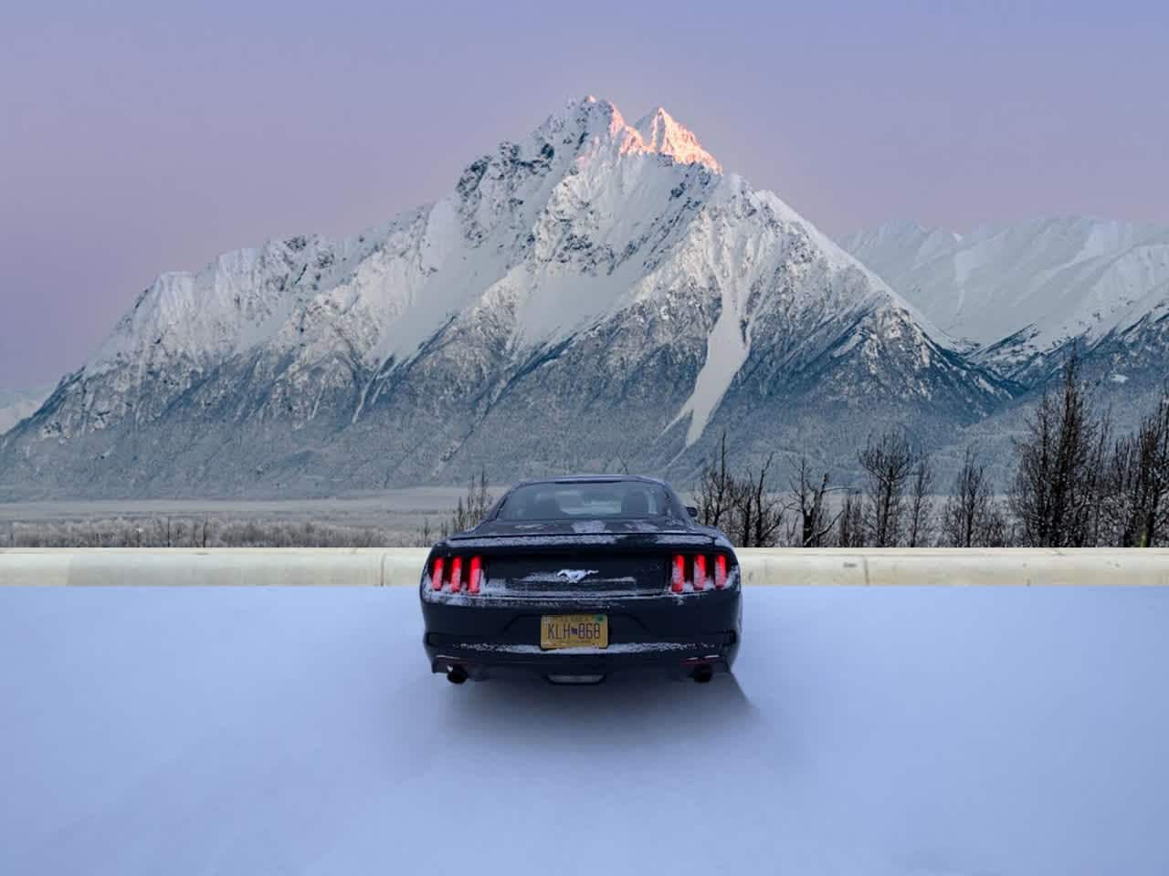 Thumbnail: 2015 Ford Mustang - 4