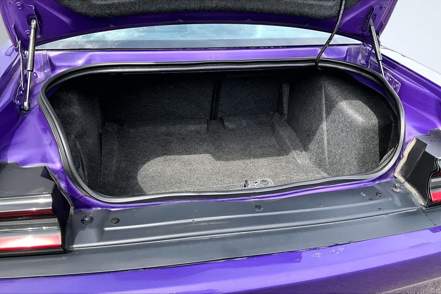 Thumbnail: 2019 Dodge Challenger - 18