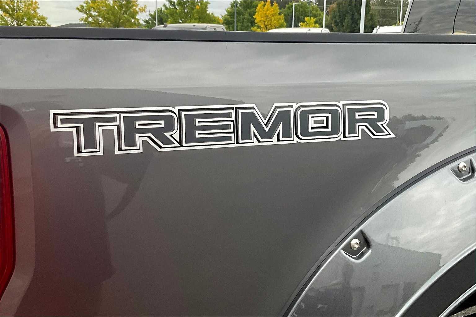 Thumbnail: 2022 Ford Econoline - 7