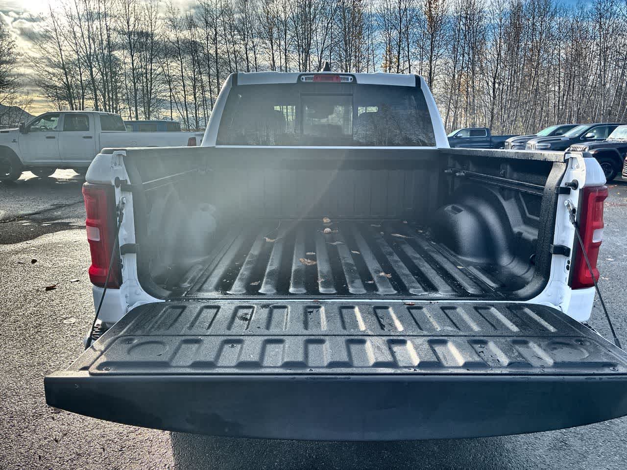 2026 RAM 1500 Big Horn/Lone Star - Photo 12