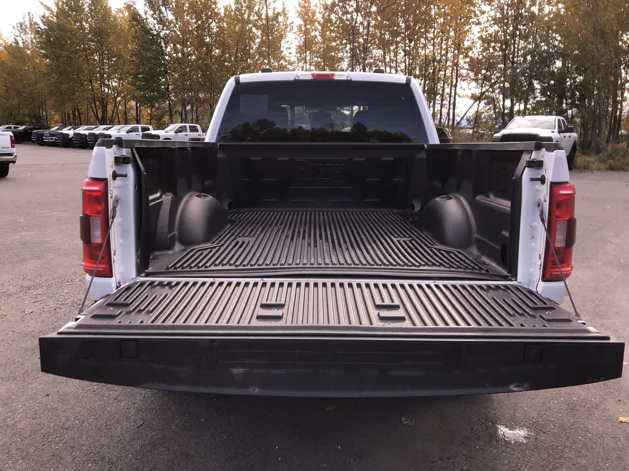 Thumbnail: 2023 Ford F-150 - 19