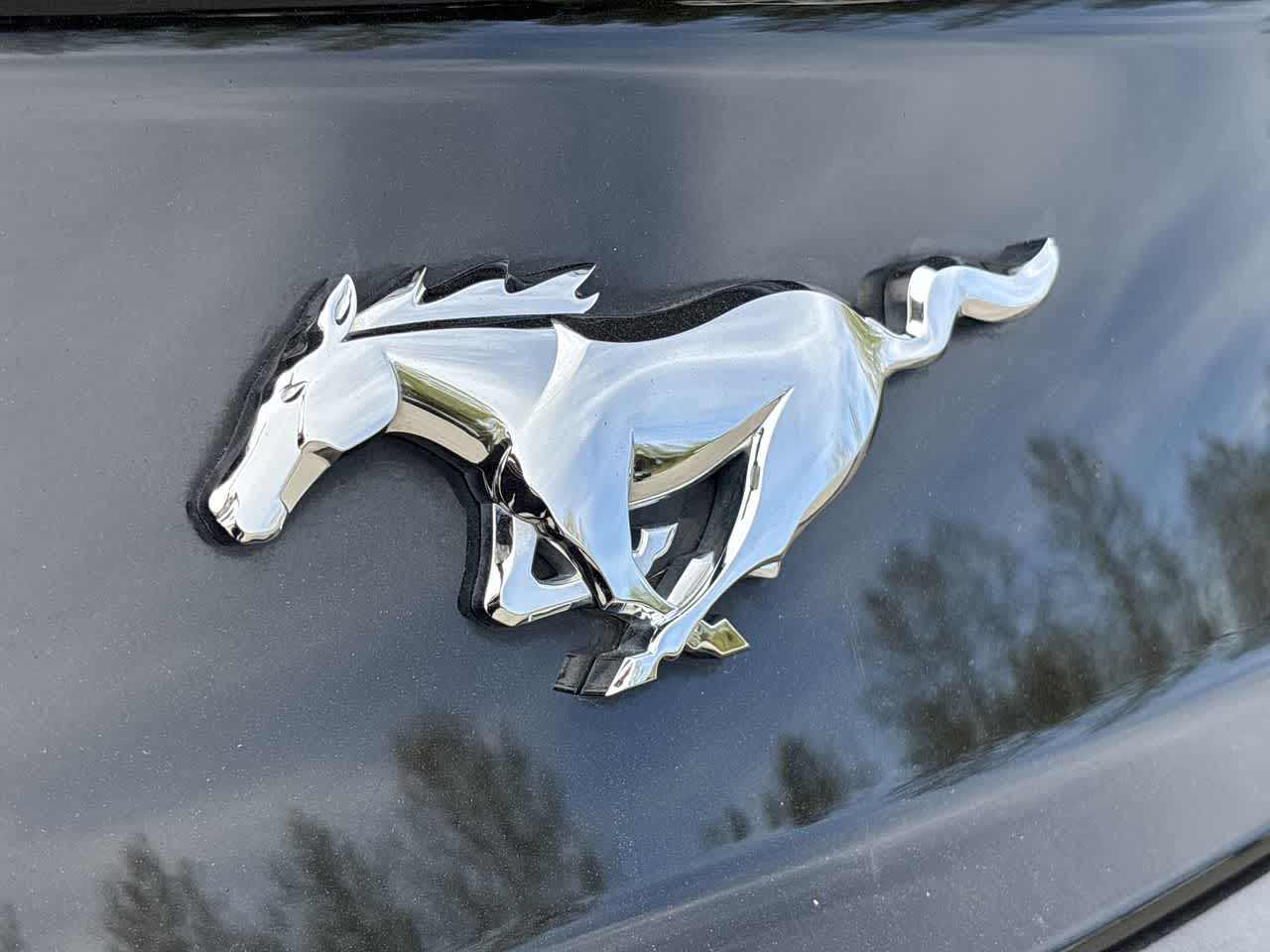 Thumbnail: 2016 Ford Mustang - 18