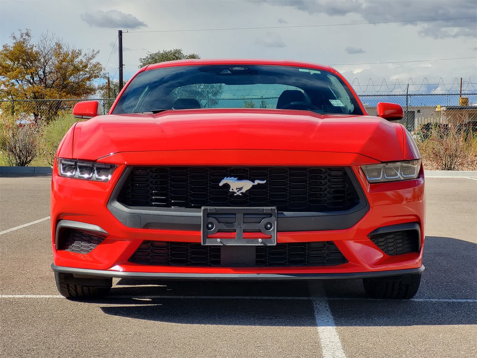 2024 Ford Mustang photo 2