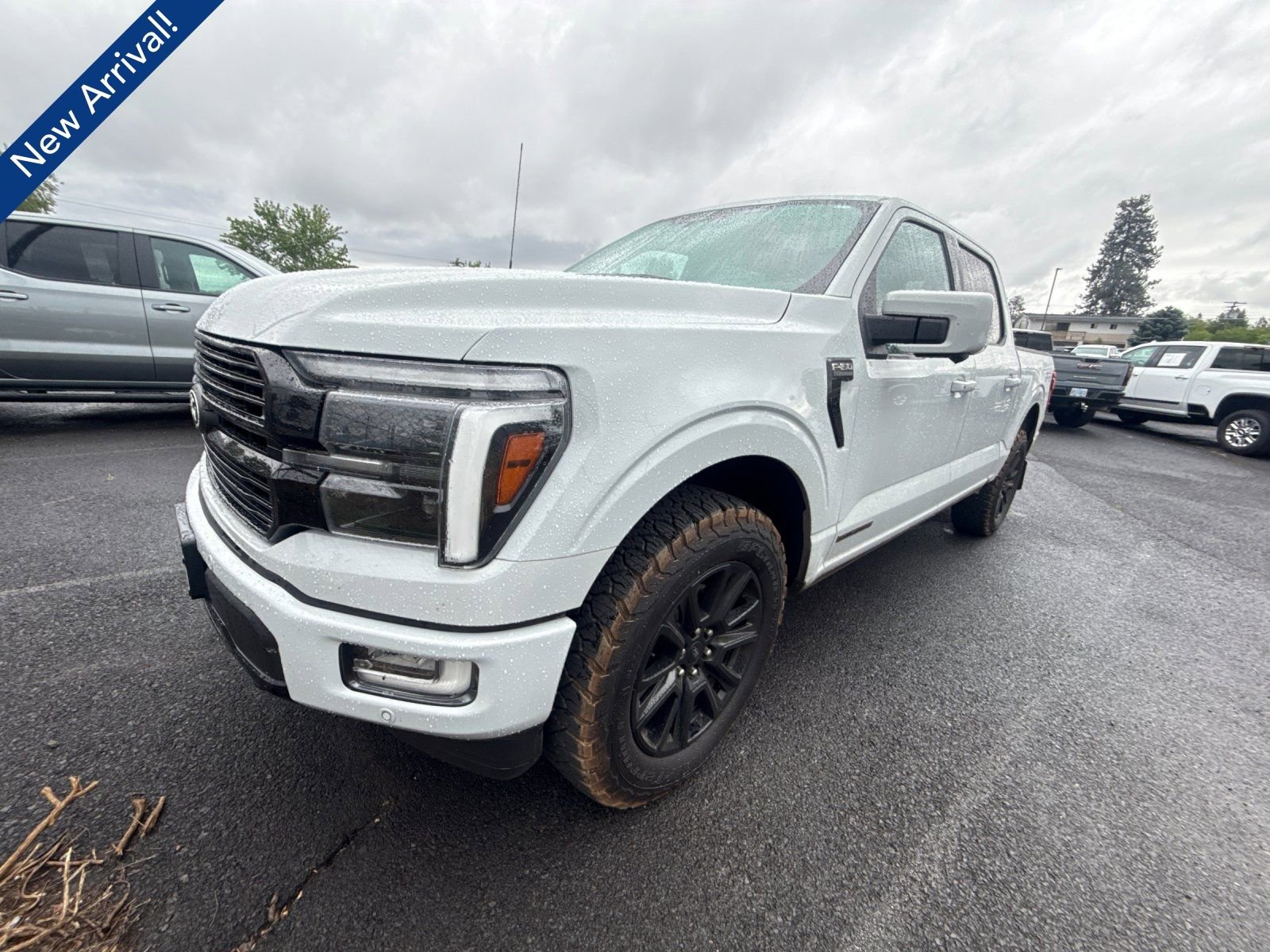 2024 Ford F-150 Platinum 4x4 SuperCrew 5-1/2 Box's photo