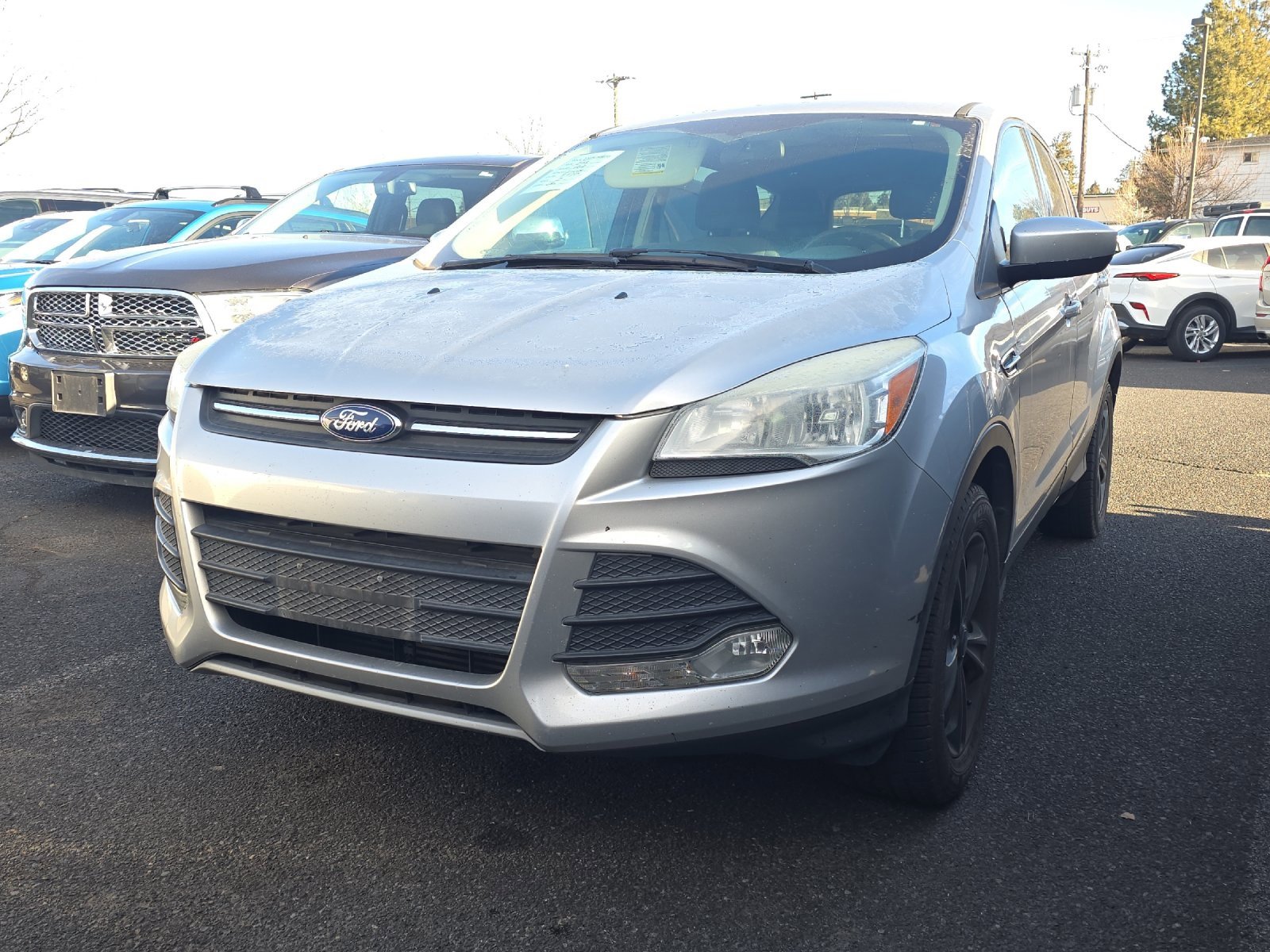 2013 Ford Escape SE's photo