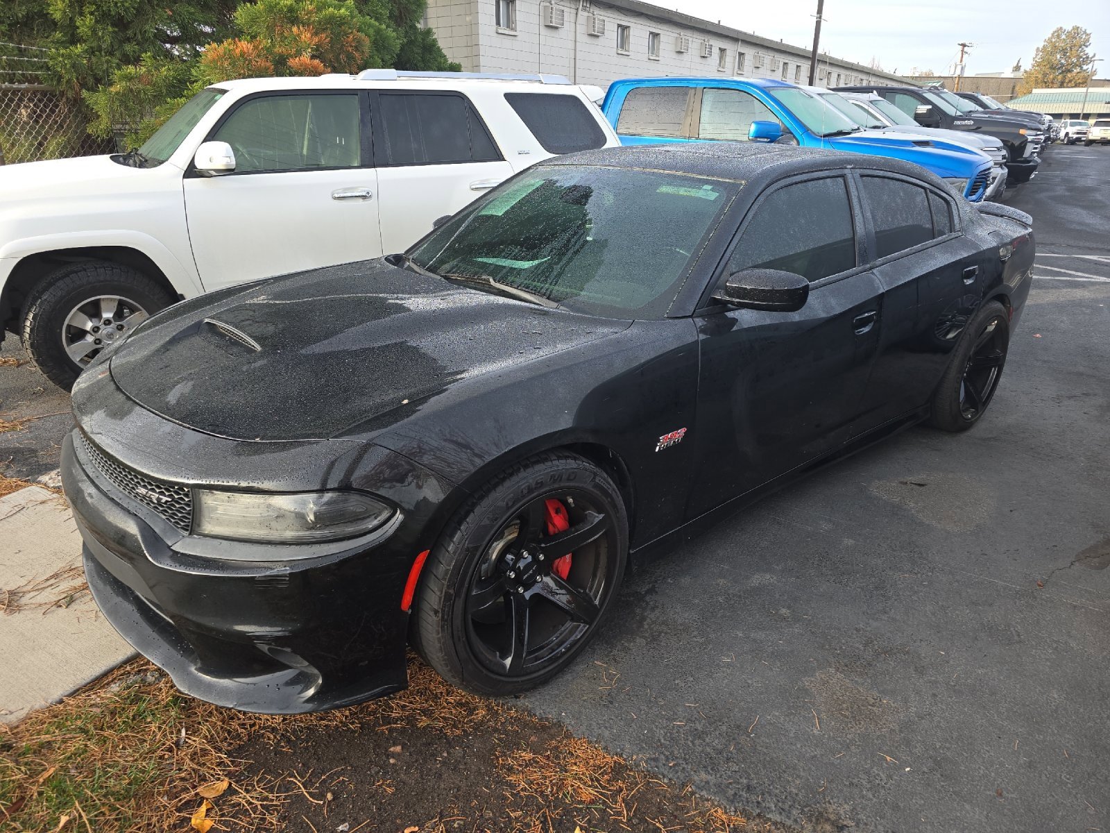 2017 Dodge Charger SRT's photo